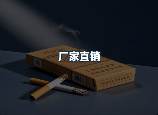 专业团队办公环境